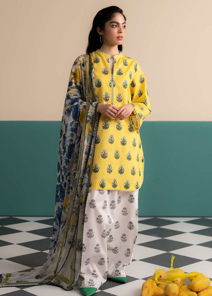 Coco Prints by Zara Shahjahan Printed Lawn Suits Unstitched 3 Piece CZS25PS D-04 A Zofi - Summer Collection