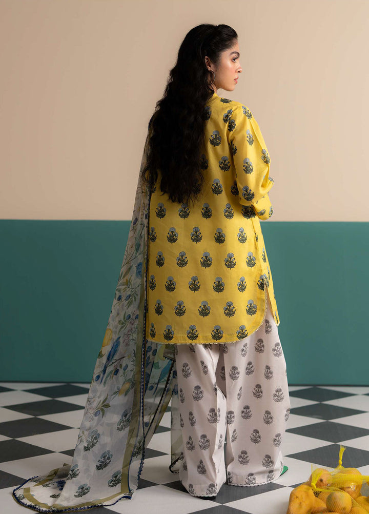 Coco Prints by Zara Shahjahan Printed Lawn Suits Unstitched 3 Piece CZS25PS D-04 A Zofi - Summer Collection