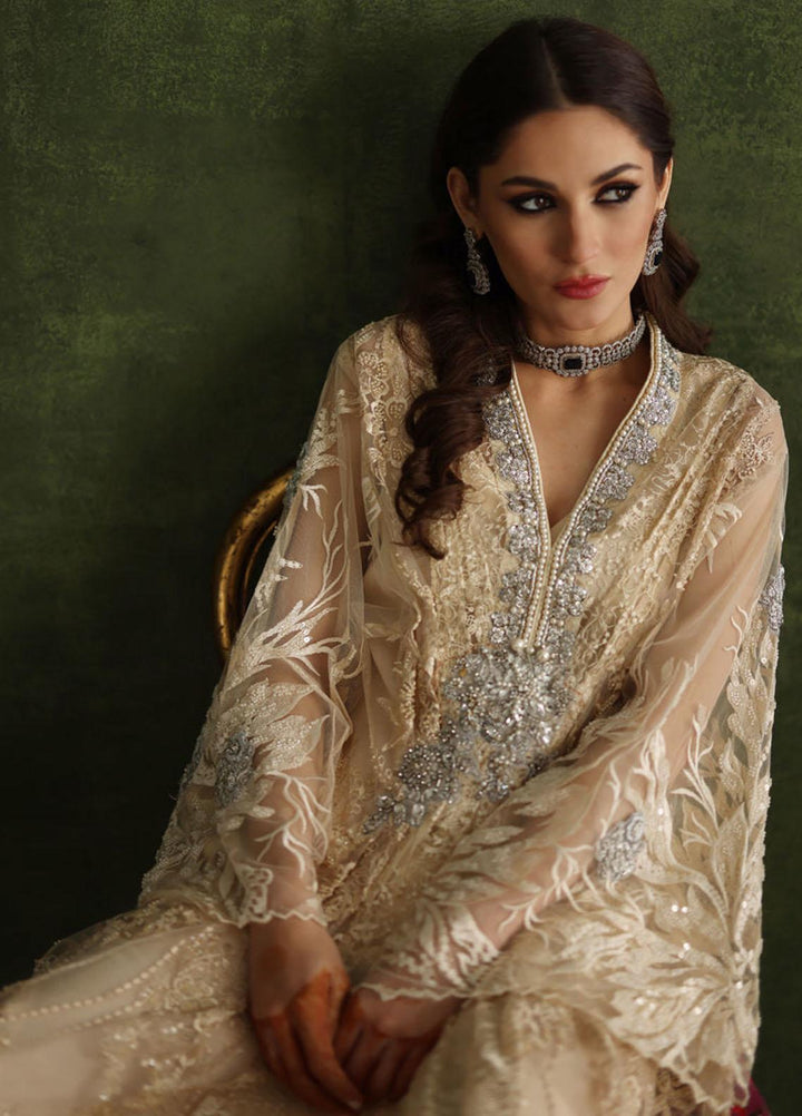Shamaeel Ansari Pret Embroidered Organza Kaftan CE-11