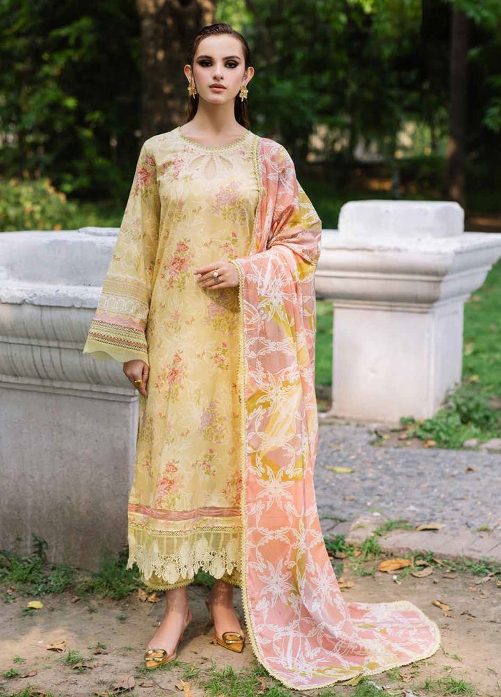 Daily Delights by Nureh Chikankari Lawn Suits Unstitched 3 Piece NU25DC DD-04 - Summer Collection