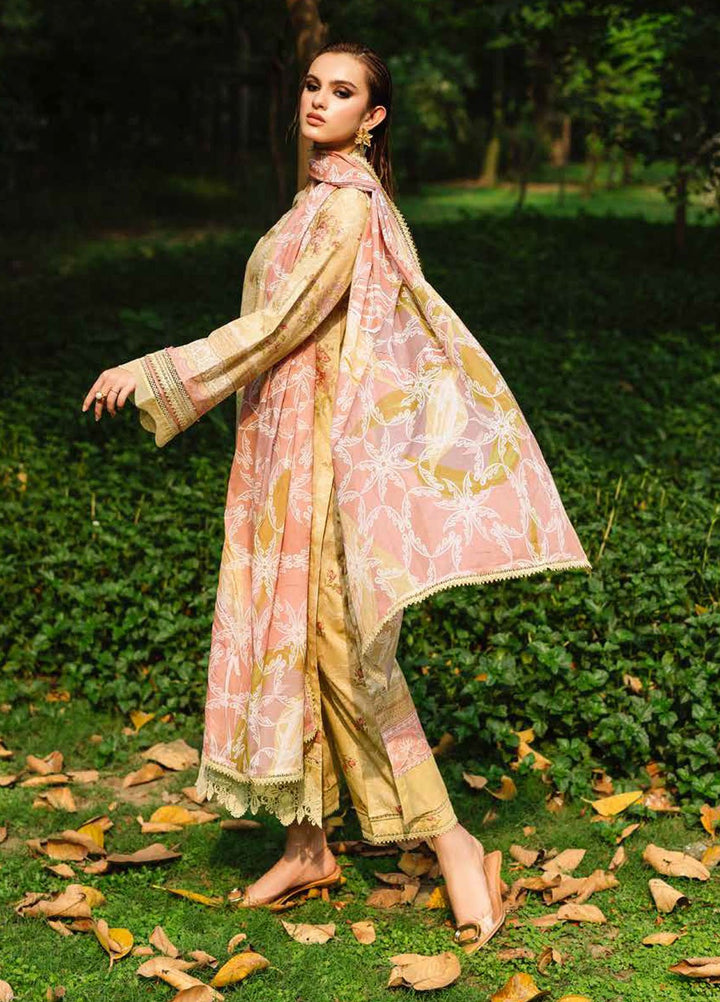 Daily Delights by Nureh Chikankari Lawn Suits Unstitched 3 Piece NU25DC DD-04 - Summer Collection