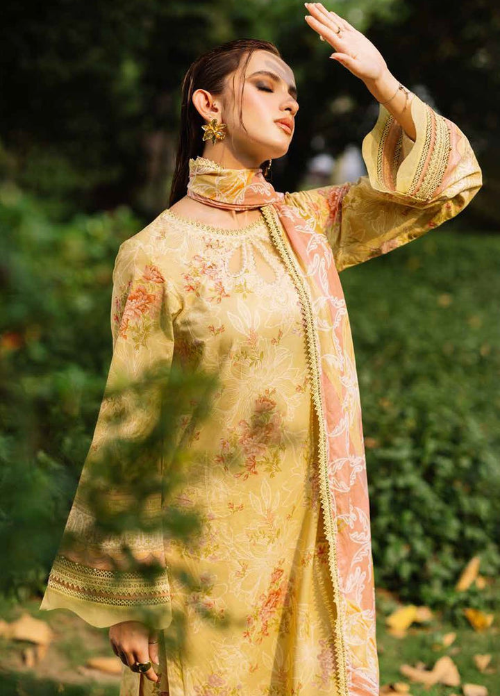 Daily Delights by Nureh Chikankari Lawn Suits Unstitched 3 Piece NU25DC DD-04 - Summer Collection