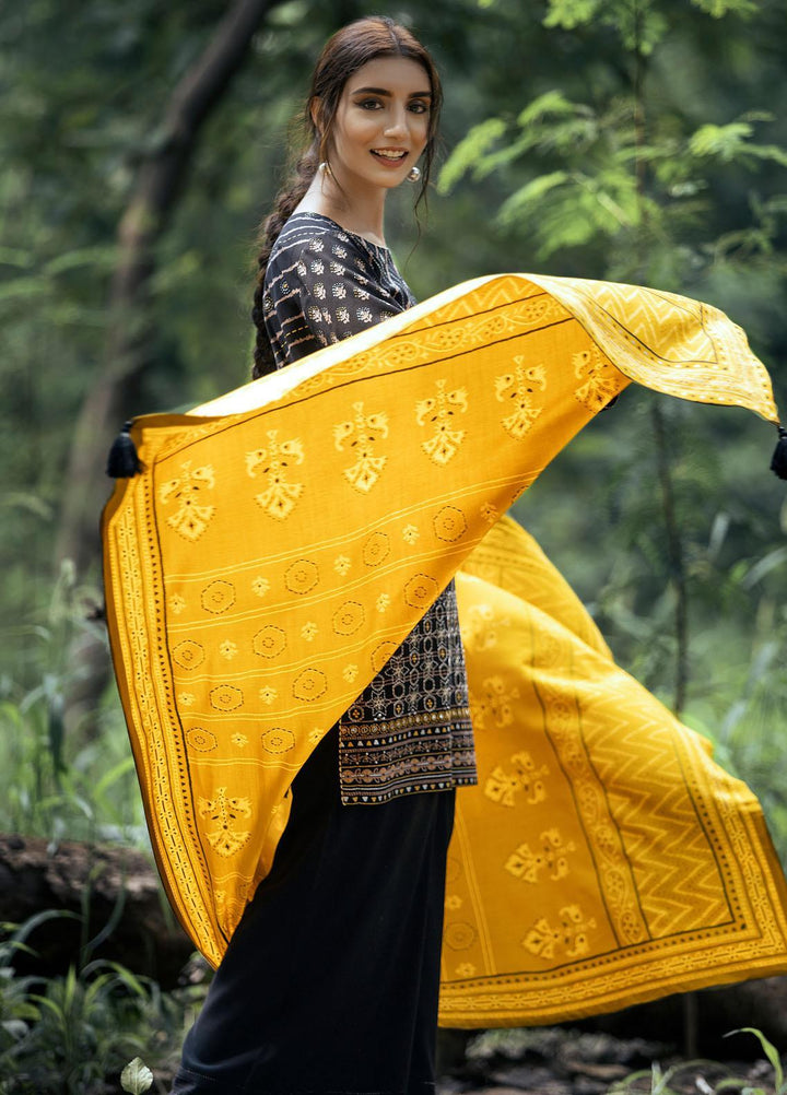 Dareechay by Lakhany Embroidered Pashmina Suits Unstitched 3 Piece LSM21DU DEW-6024-B - Winter Collection