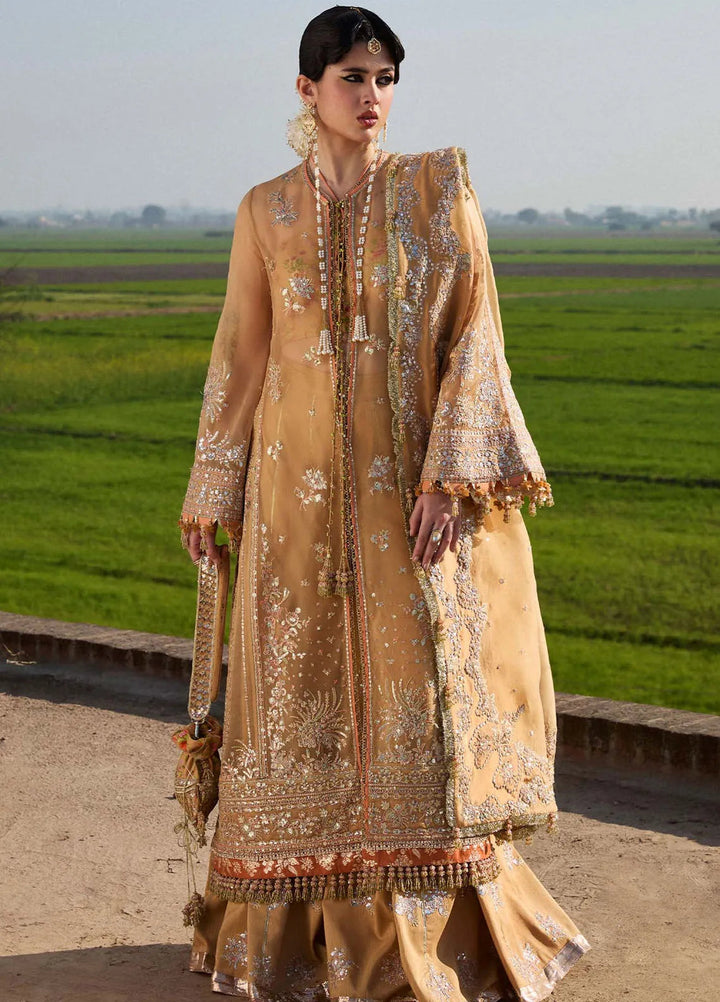 Darling by Hussain Rehar Embroidered Suit Unstitched 4 Piece HRR25D Sundal - Festive Collection