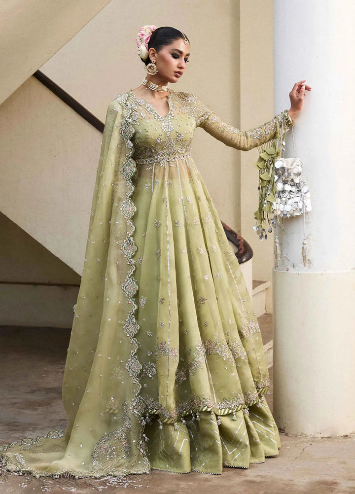 Darling by Hussain Rehar Embroidered Suit Unstitched 4 Piece HRR25D Tahiri - Festive Collection