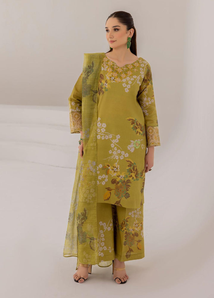 Esra Fashion Pret Embrodered Cambric 3 Piece Suit DT-23-06