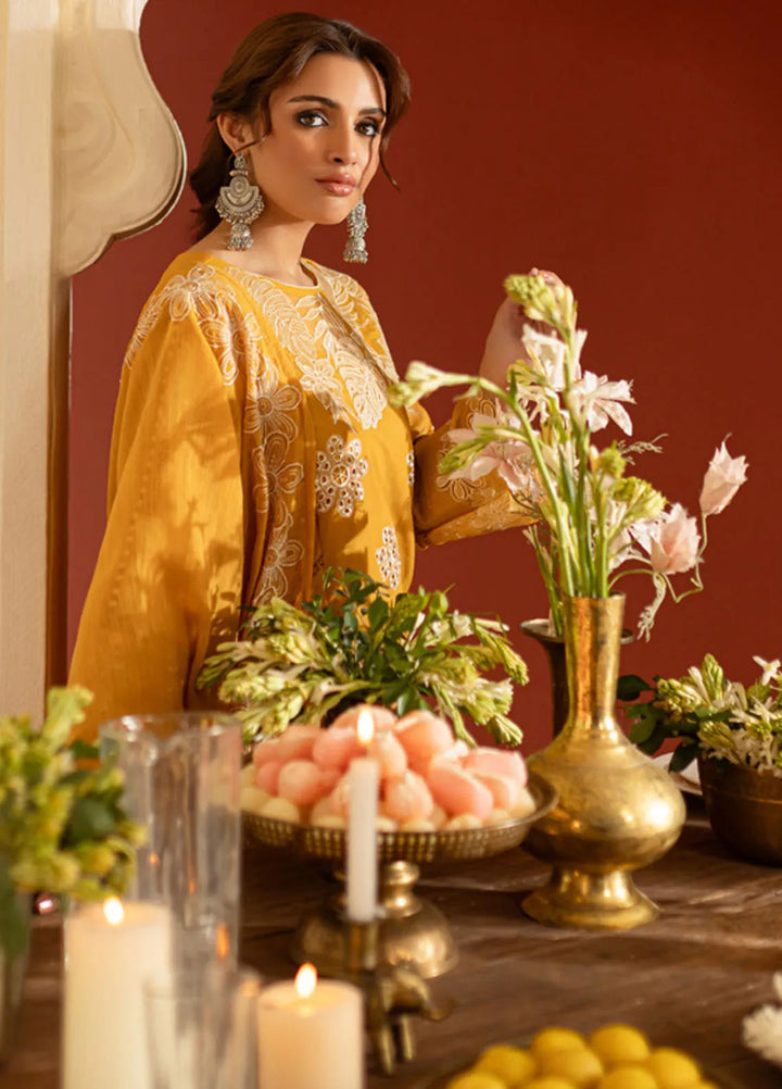 Dastan-e-Noor by Parishay Embroidered Lawn Suit Unstitched 3 Piece PR25DN DSC-09 - Summer Collection