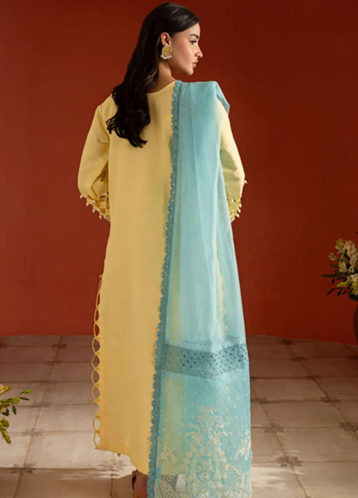 Dastan-e-Noor by Parishay Embroidered Lawn Suit Unstitched 3 Piece PR25DN DSC-11 - Summer Collection