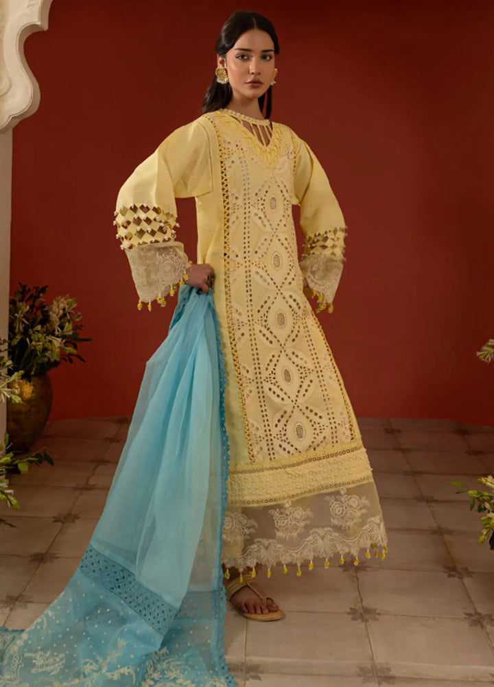 Dastan-e-Noor by Parishay Embroidered Lawn Suit Unstitched 3 Piece PR25DN DSC-11 - Summer Collection