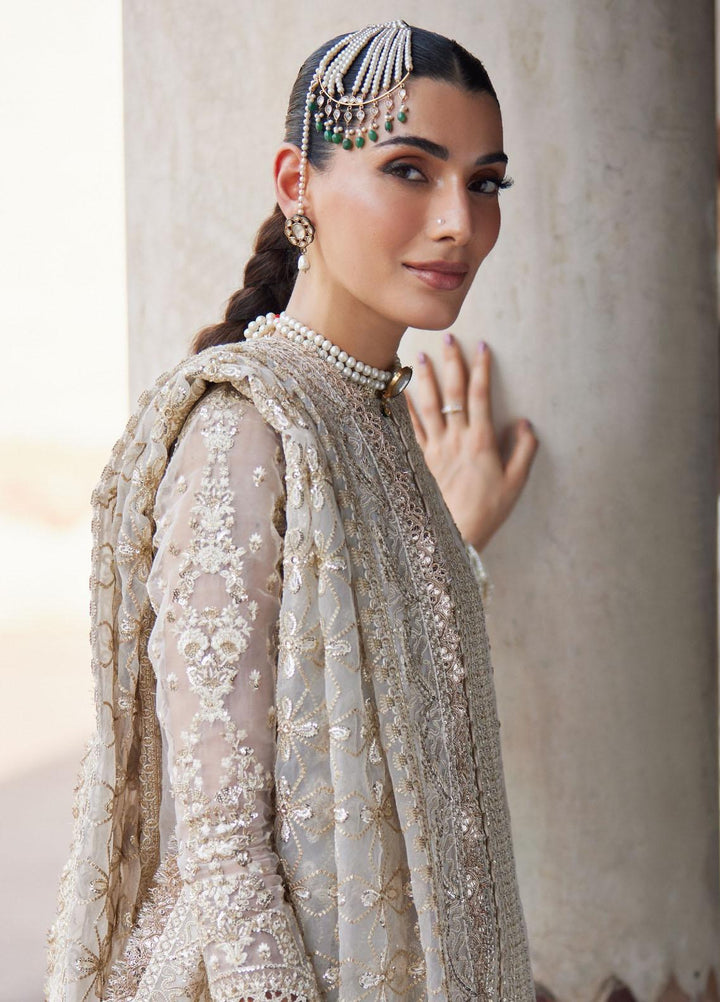 Dastangoi By Afrozeh Embroidered Organza Suits Unstitched 3 Piece AF23DG AWE-23-V1-02 Noori - Wedding Collection