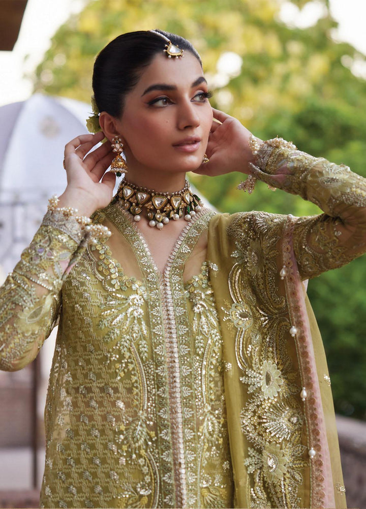 Dastangoi By Afrozeh Embroidered  Suits Unstitched 3 Piece AF23DG AWE-23-V1-03 Shehnaz - Wedding Collection