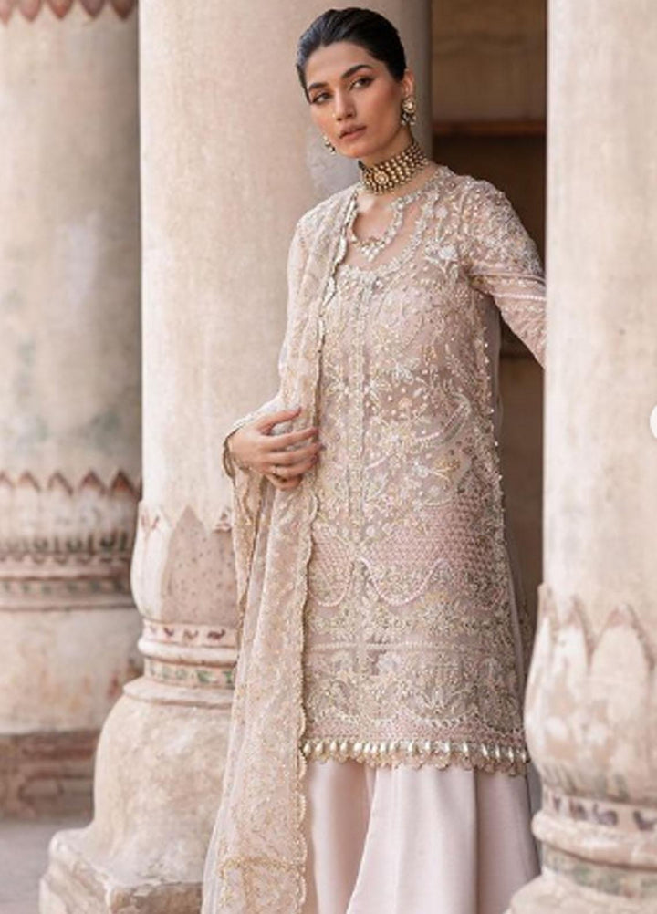Dastangoi By Afrozeh Embroidered Organza Suits Unstitched 3 Piece AF23DG AWE-23-V1-07 Meharbano - Wedding Collection