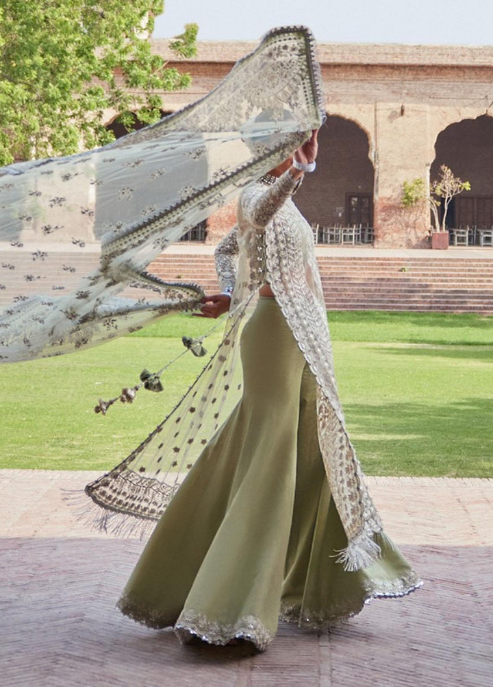 Dastangoi By Afrozeh Embroidered Net Suits Unstitched 3 Piece AF23DG AWE-23-V1-08 Nigar - Wedding Collection