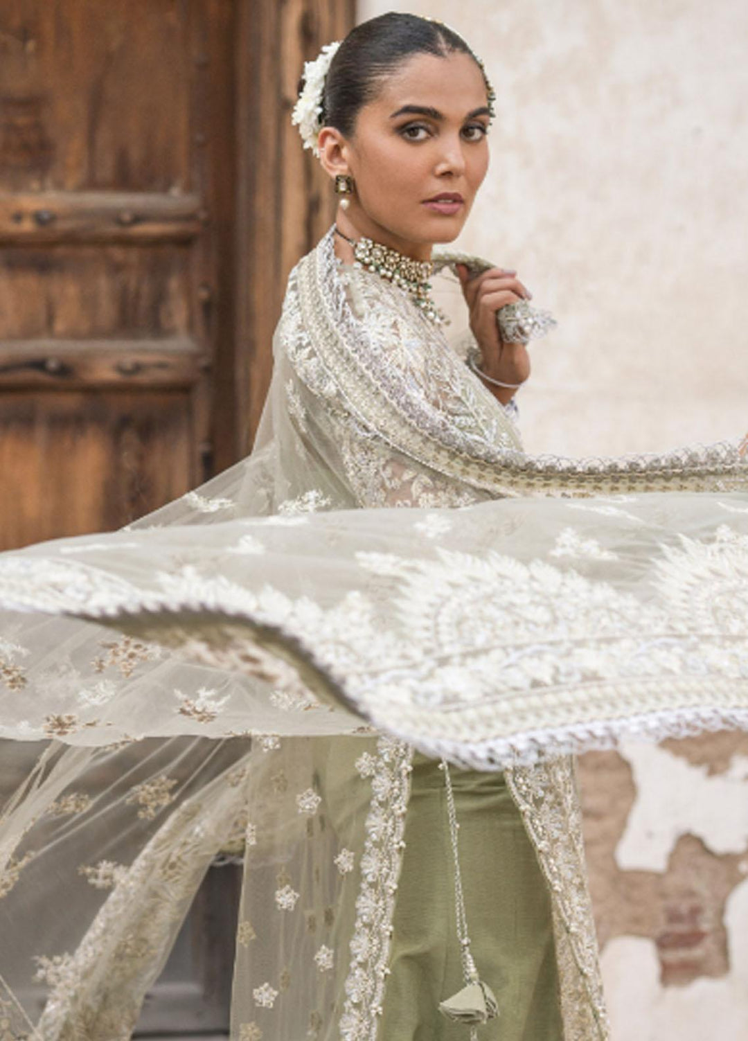 Dastangoi By Afrozeh Embroidered Net Suits Unstitched 3 Piece AF23DG AWE-23-V1-08 Nigar - Wedding Collection