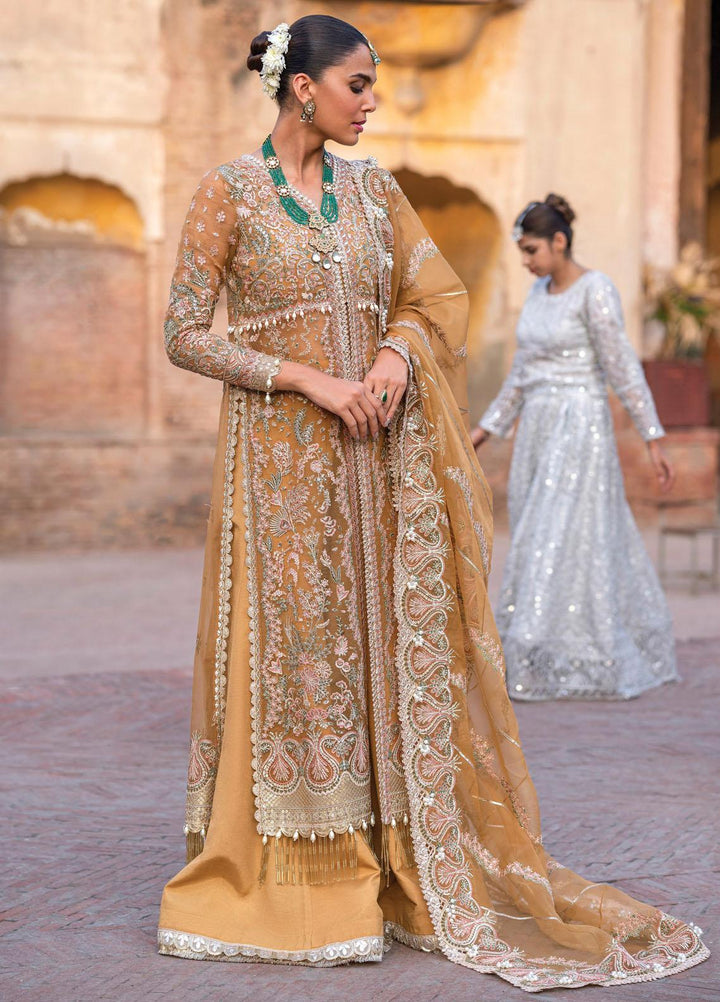 Dastangoi By Afrozeh Embroidered  Suits Unstitched 3 Piece AF23DG AWE-23-V1-09 Shafaq - Wedding Collection