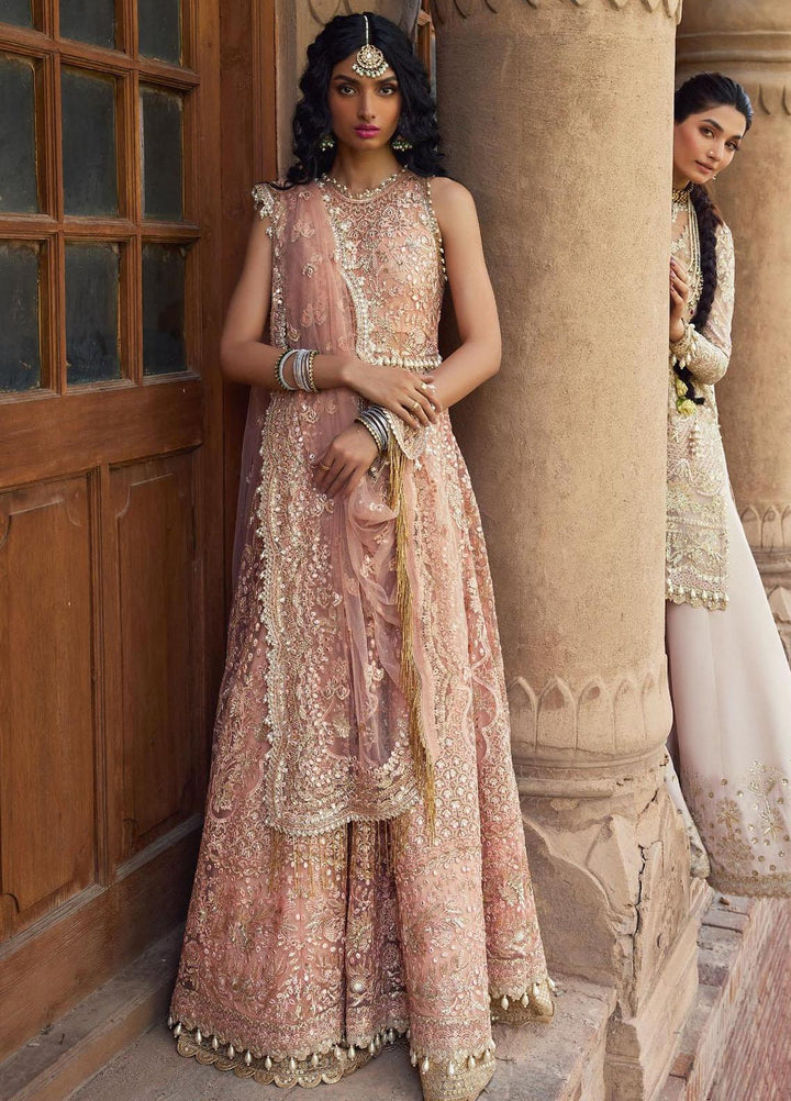 Dastangoi By Afrozeh Embroidered Net Suits Unstitched 3 Piece AF23DG AWE-23-V1-10 Madhur - Wedding Collection