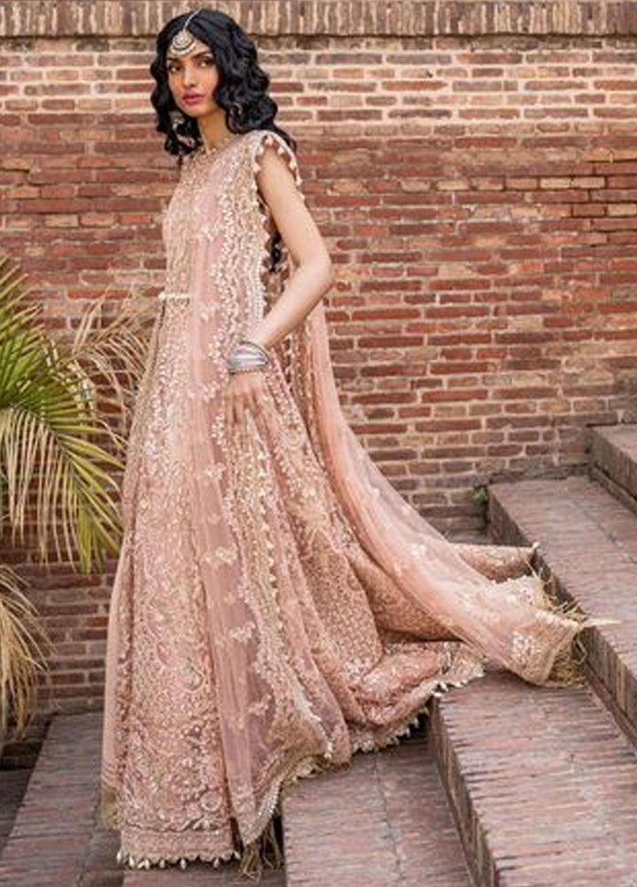 Dastangoi By Afrozeh Embroidered Net Suits Unstitched 3 Piece AF23DG AWE-23-V1-10 Madhur - Wedding Collection