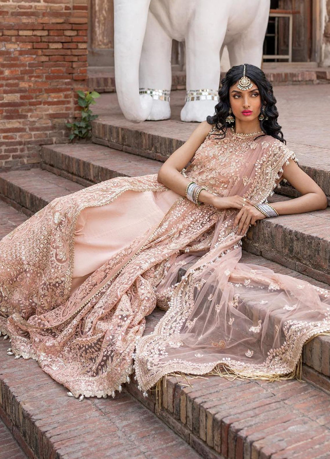 Dastangoi By Afrozeh Embroidered Net Suits Unstitched 3 Piece AF23DG AWE-23-V1-10 Madhur - Wedding Collection