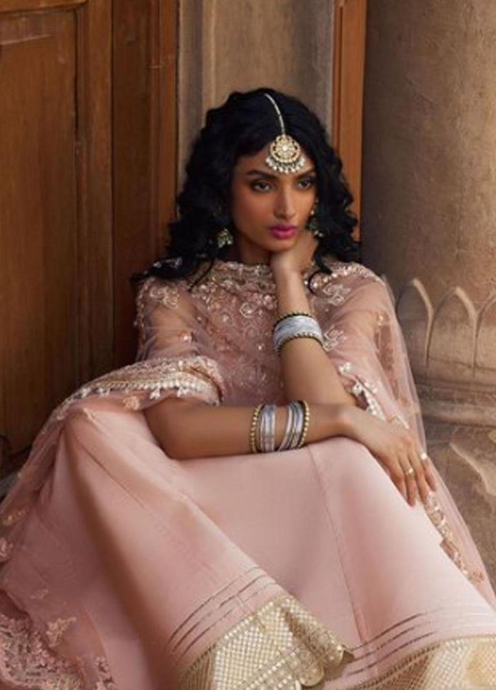 Dastangoi By Afrozeh Embroidered Net Suits Unstitched 3 Piece AF23DG AWE-23-V1-10 Madhur - Wedding Collection