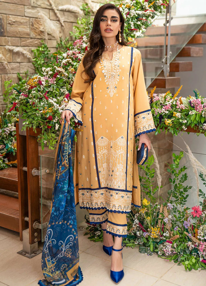 Dayaar E Khuwaab by Addee Embroidered Lawn Suit Unstitched 3 Piece AD24D SM-019 Labiba - Summer Collection