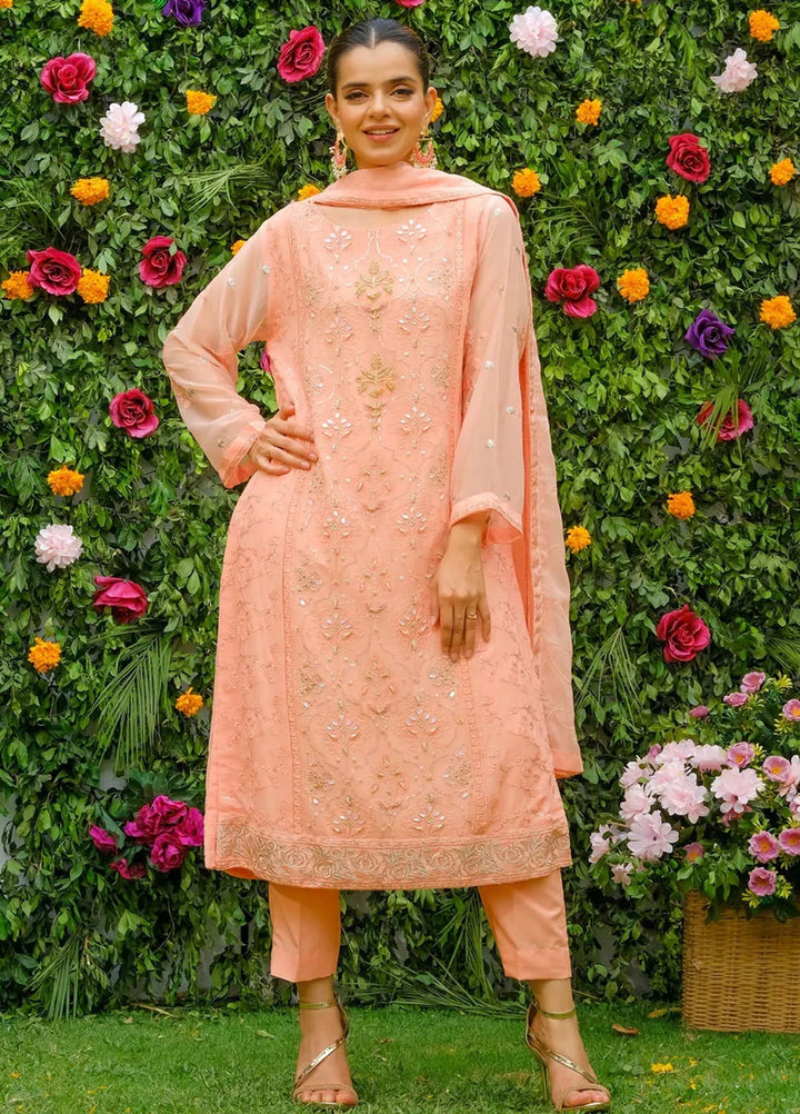 Dhaga Pret Embroidered Chiffon 3 Piece Suit Aaina