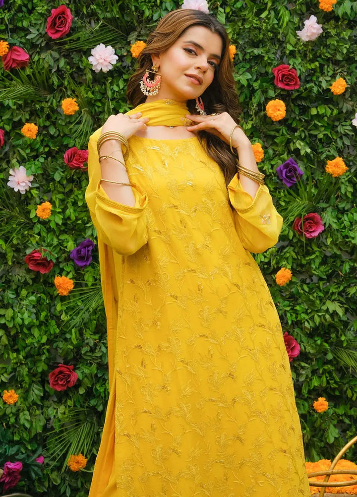 Dhaga Pret Embroidered Chiffon 3 Piece Suit Mehak