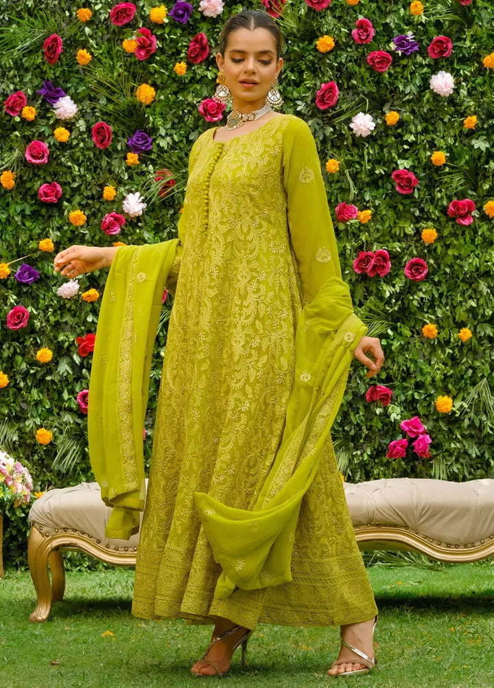 Dhaga Pret Embroidered Chiffon 3 Piece Suit Zaitoon