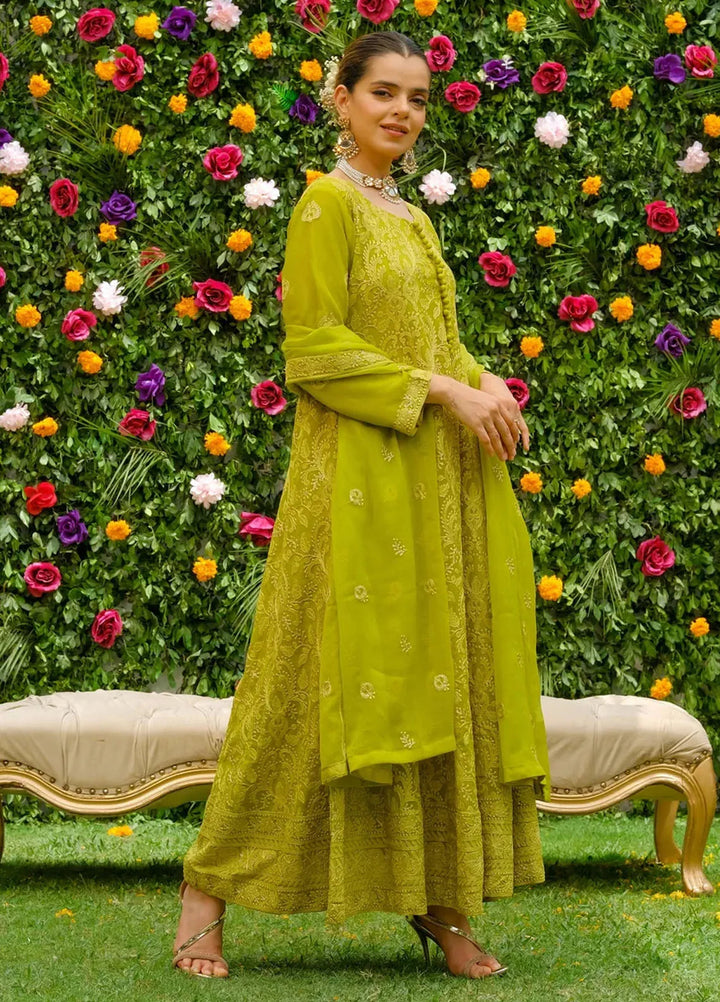 Dhaga Pret Embroidered Chiffon 3 Piece Suit Zaitoon
