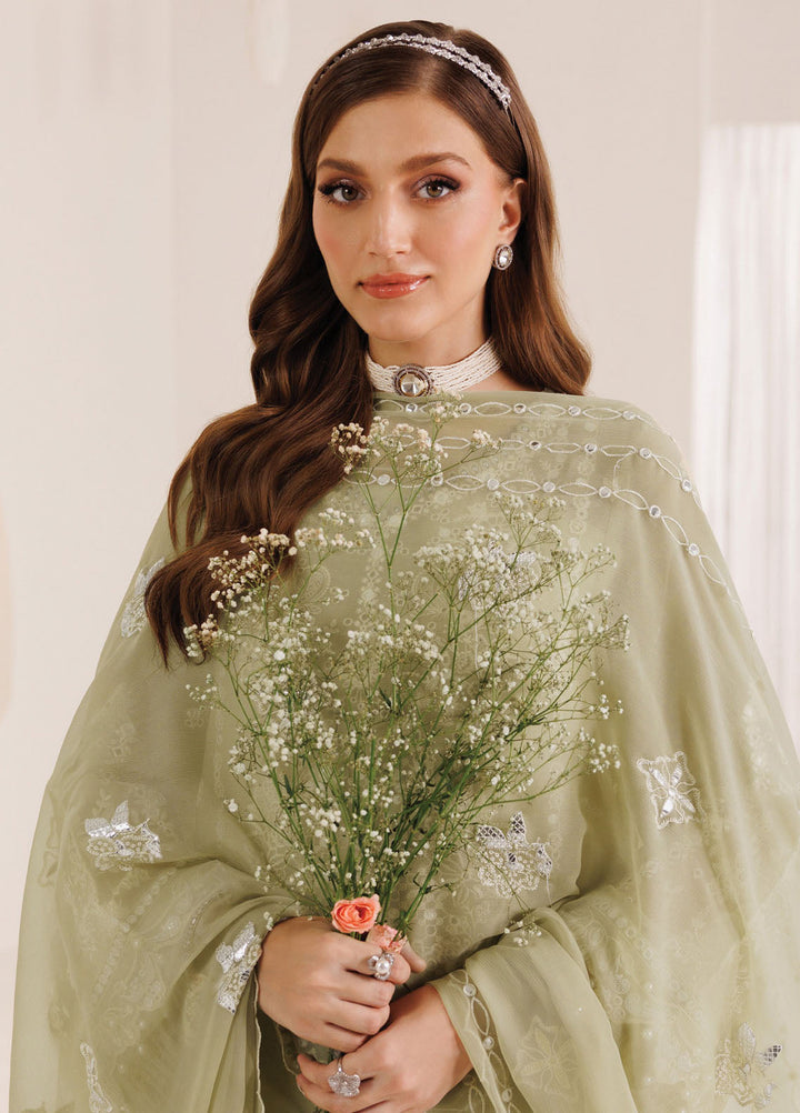 Dhagaay by Alizeh Fashion Embroidered Chiffon Suits Unstitched 3 Piece AFB25DF D-03 Ahana - Festive Collection