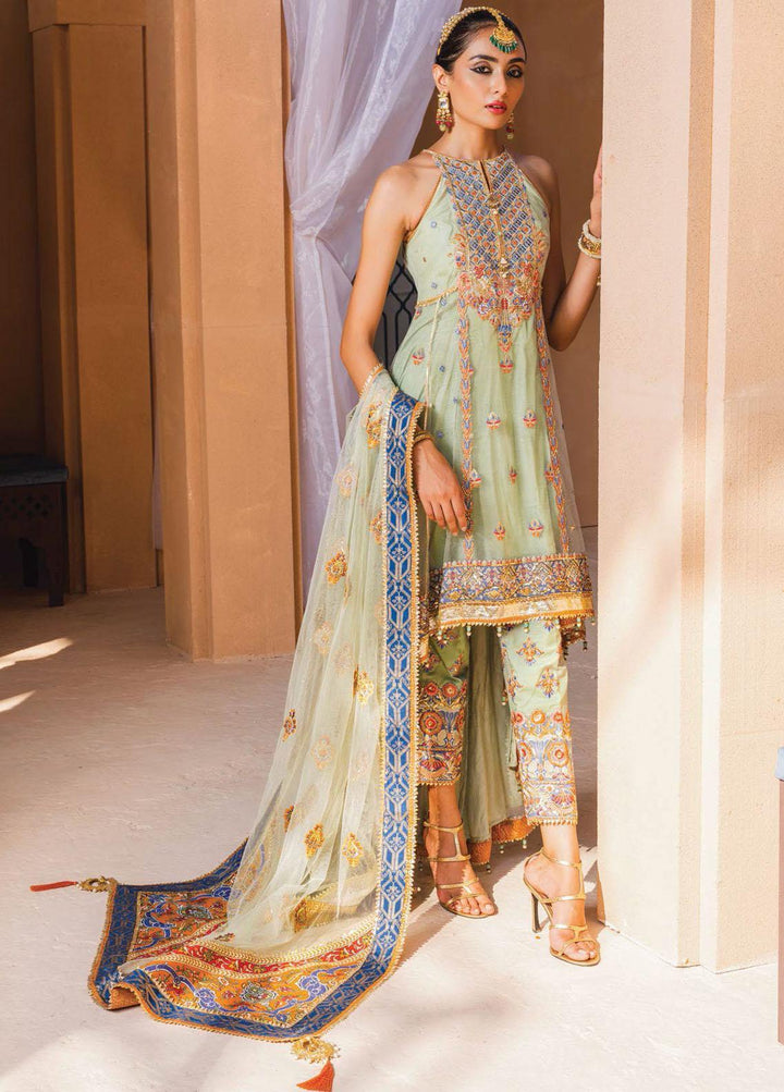 Dhanak By Anaya Embroidered Net Suits Unstitched 3 Piece AKC22M AKM22-08 Maham - Wedding Collection