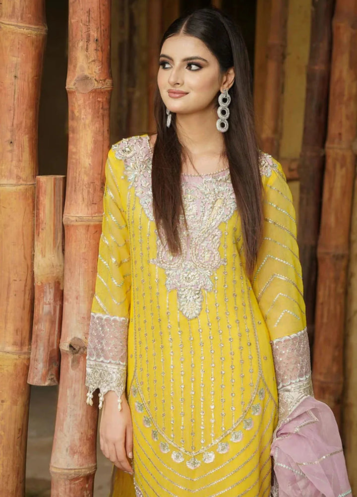 Dhanak By Ayat Pret Embroidered Net 3 Piece Suit Gulzar