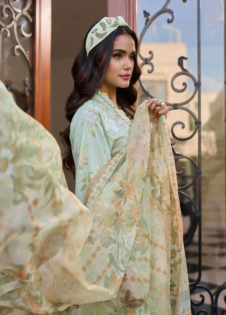 Dhanak Embroidered Lawn Suits Unstitched 3 Piece DHK24SS SS24DU-3189 Mint Green - Summer Collection