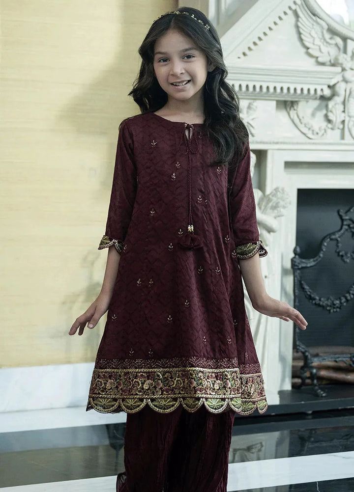 Dhanak Pret Embroidered Cotton Jacquard 2 Piece Suit SS24DK-0171