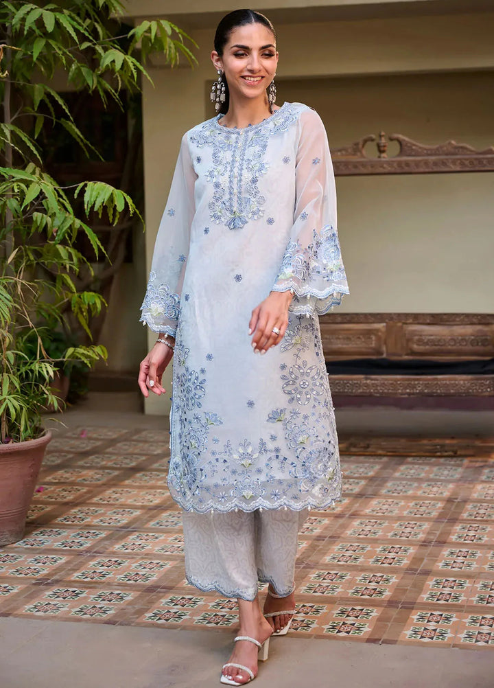 Dhanak Pret Embroidered Organza 2 Piece Suit SS24DA-2351