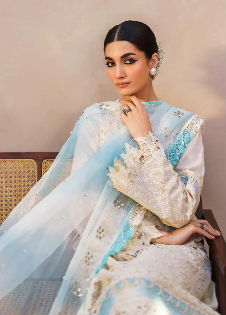 Dhoop Kinaray By Nureh Chikankari Lawn Suits Unstitched 4 Piece NU24DK NS-140 - Summer Collection