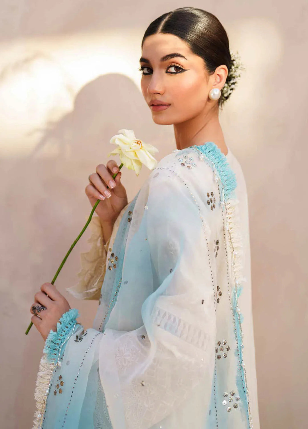 Dhoop Kinaray By Nureh Chikankari Lawn Suits Unstitched 4 Piece NU24DK NS-140 - Summer Collection
