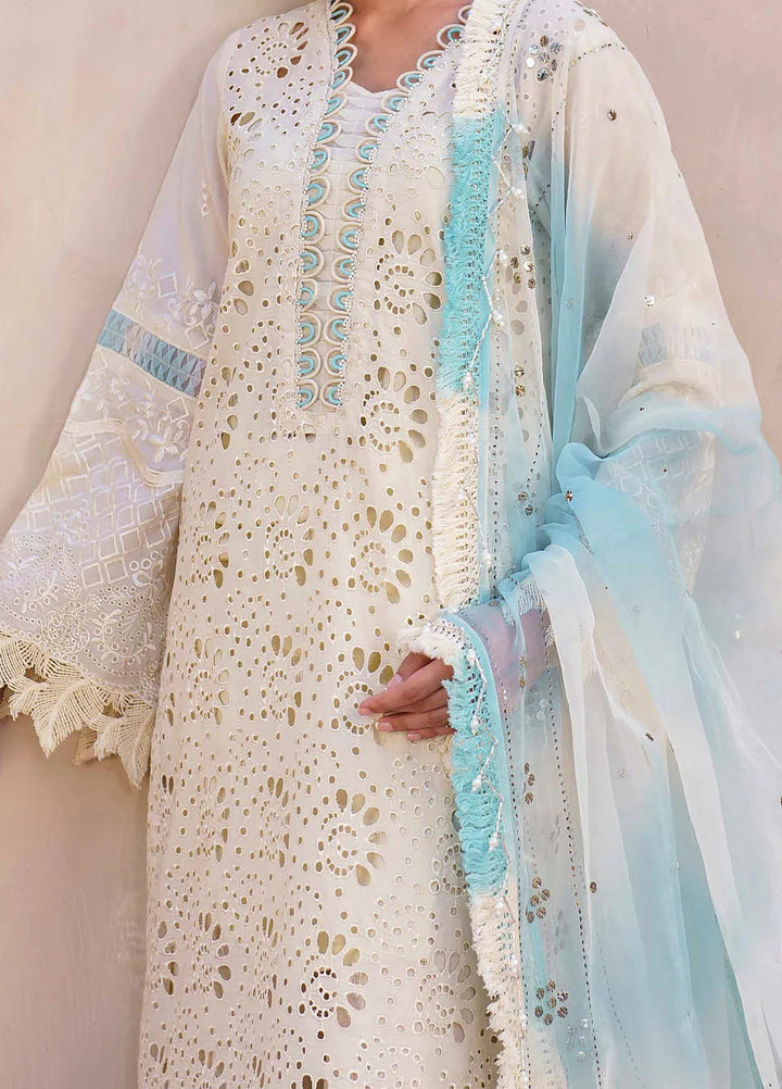 Dhoop Kinaray By Nureh Chikankari Lawn Suits Unstitched 4 Piece NU24DK NS-140 - Summer Collection