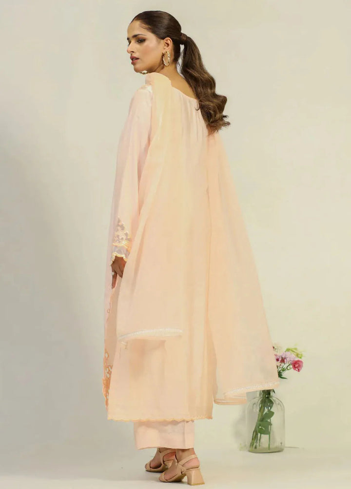 Dilara By Grandeur Pret Embroidered Tissue Silk 3 Piece Suit Ombre