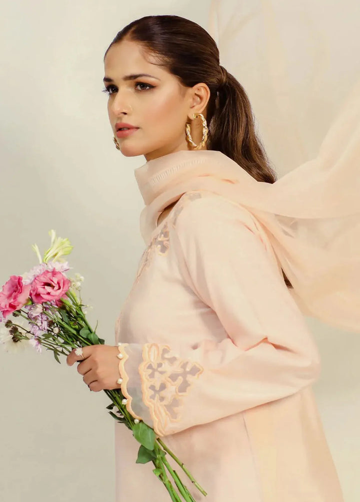 Dilara By Grandeur Pret Embroidered Tissue Silk 3 Piece Suit Ombre