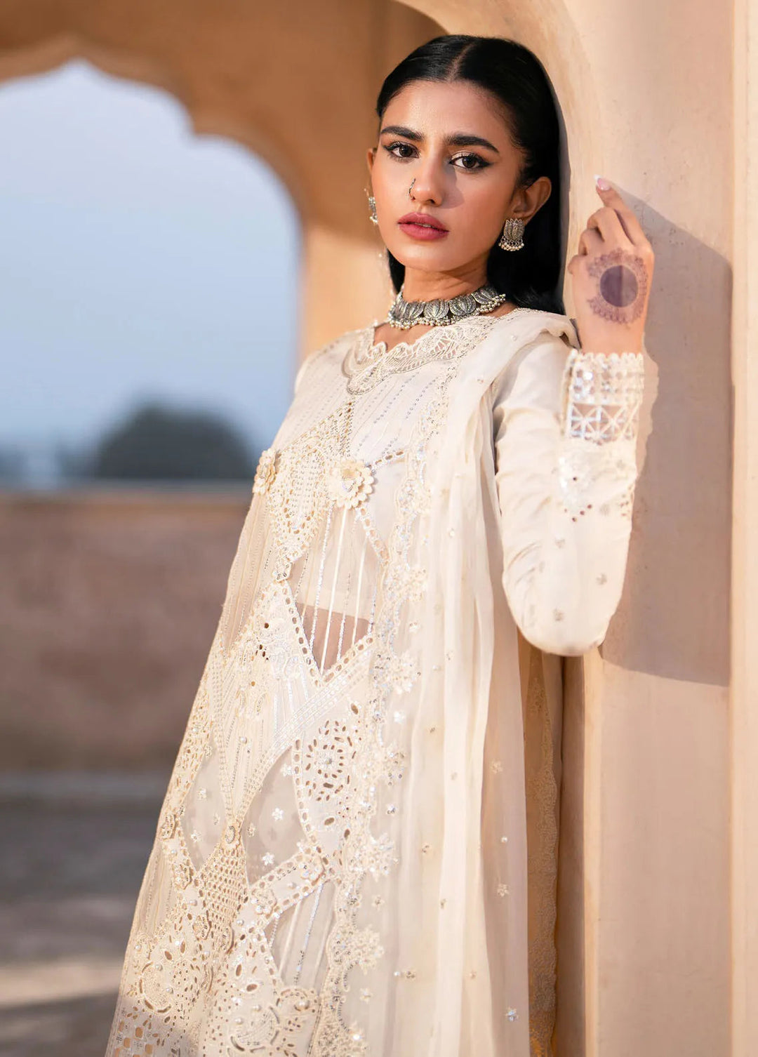 Dilbaro By Bin Ilyas Embroidered Lawn Suits Unstitched 3 Piece BI24D 401A - Festive Collection