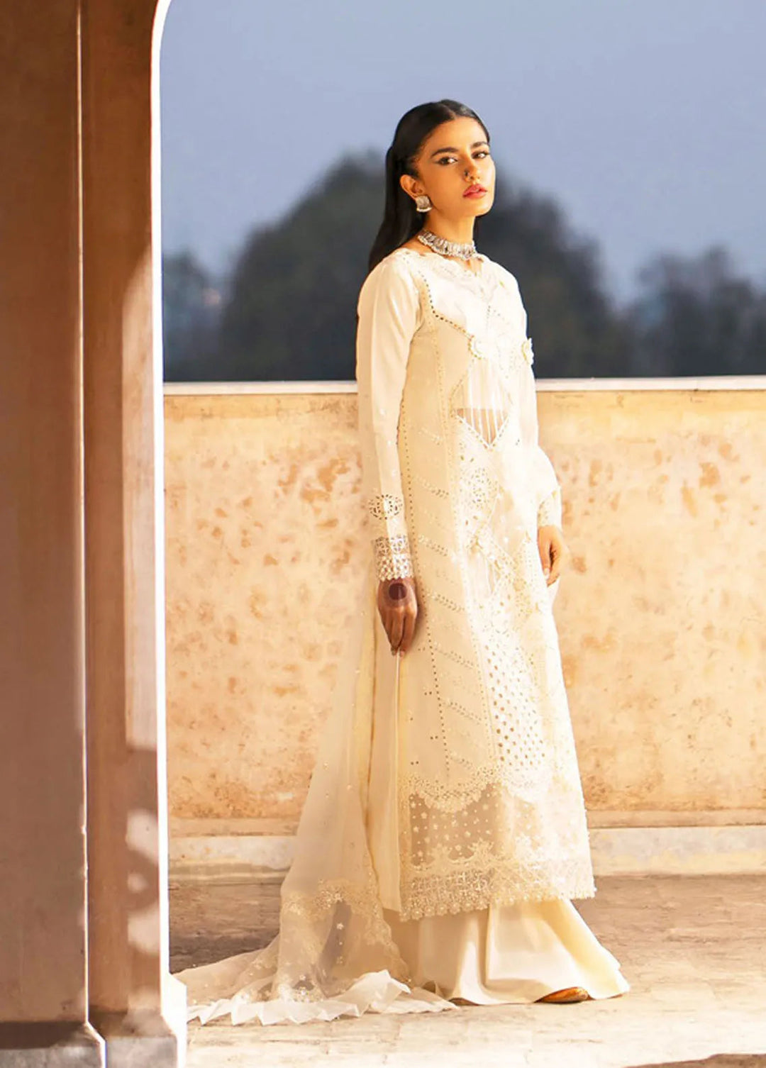 Dilbaro By Bin Ilyas Embroidered Lawn Suits Unstitched 3 Piece BI24D 401A - Festive Collection