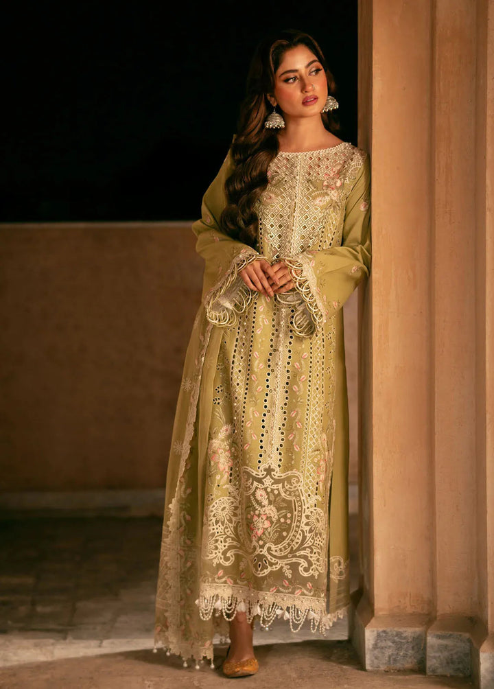 Dilbaro By Bin Ilyas Embroidered Lawn Suits Unstitched 3 Piece BI24D 405A - Festive Collection