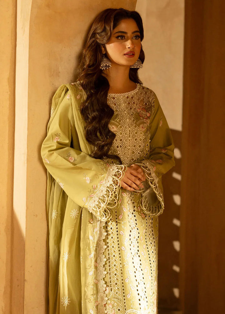 Dilbaro By Bin Ilyas Embroidered Lawn Suits Unstitched 3 Piece BI24D 405A - Festive Collection