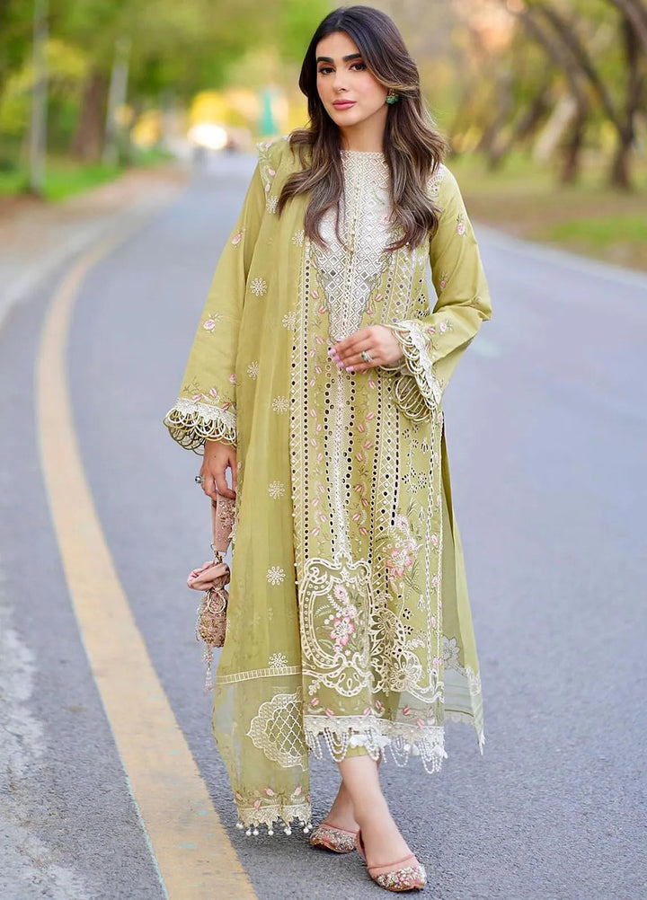 Dilbaro By Bin Ilyas Embroidered Lawn Suits Unstitched 3 Piece BI24D 405A - Festive Collection