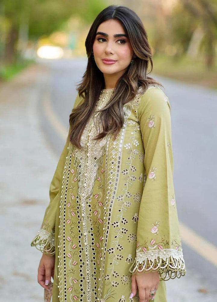 Dilbaro By Bin Ilyas Embroidered Lawn Suits Unstitched 3 Piece BI24D 405A - Festive Collection