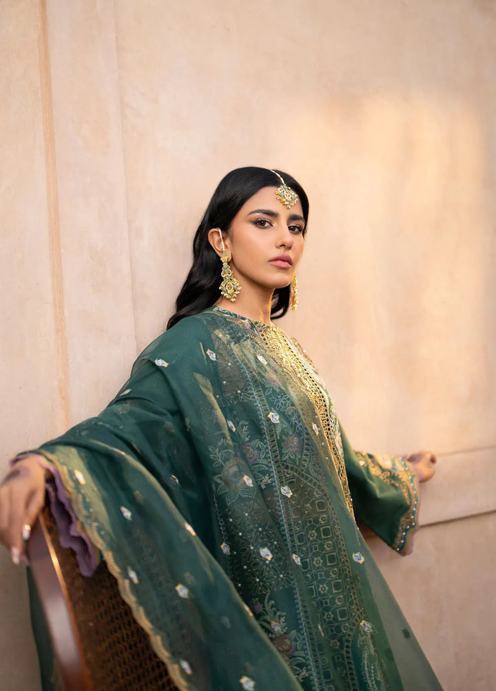 Dilbaro By Bin Ilyas Embroidered Lawn Suits Unstitched 3 Piece BI24D 407A - Festive Collection