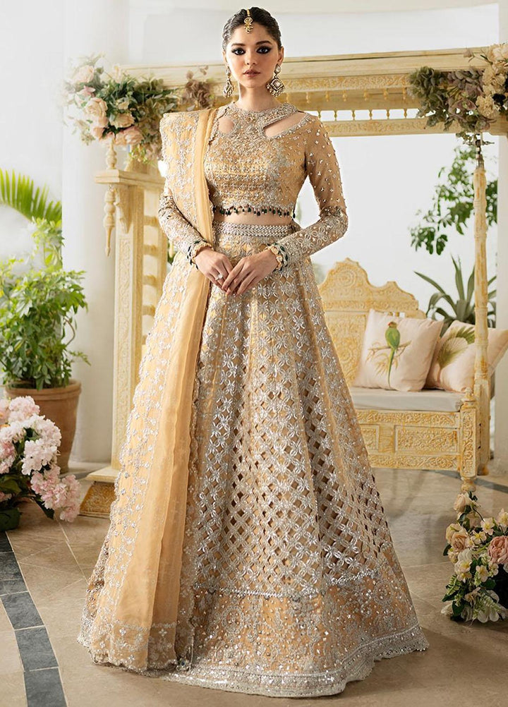 Dilnaaz By Qalamkar Embroidered Missouri Suits Unstitched 4 Piece QLM23DZ DN-1 Imaan - Wedding Collection