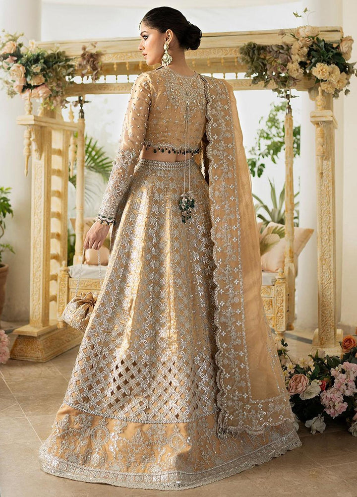 Dilnaaz By Qalamkar Embroidered Missouri Suits Unstitched 4 Piece QLM23DZ DN-1 Imaan - Wedding Collection