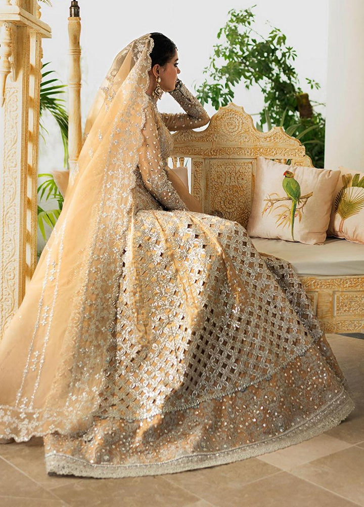 Dilnaaz By Qalamkar Embroidered Missouri Suits Unstitched 4 Piece QLM23DZ DN-1 Imaan - Wedding Collection