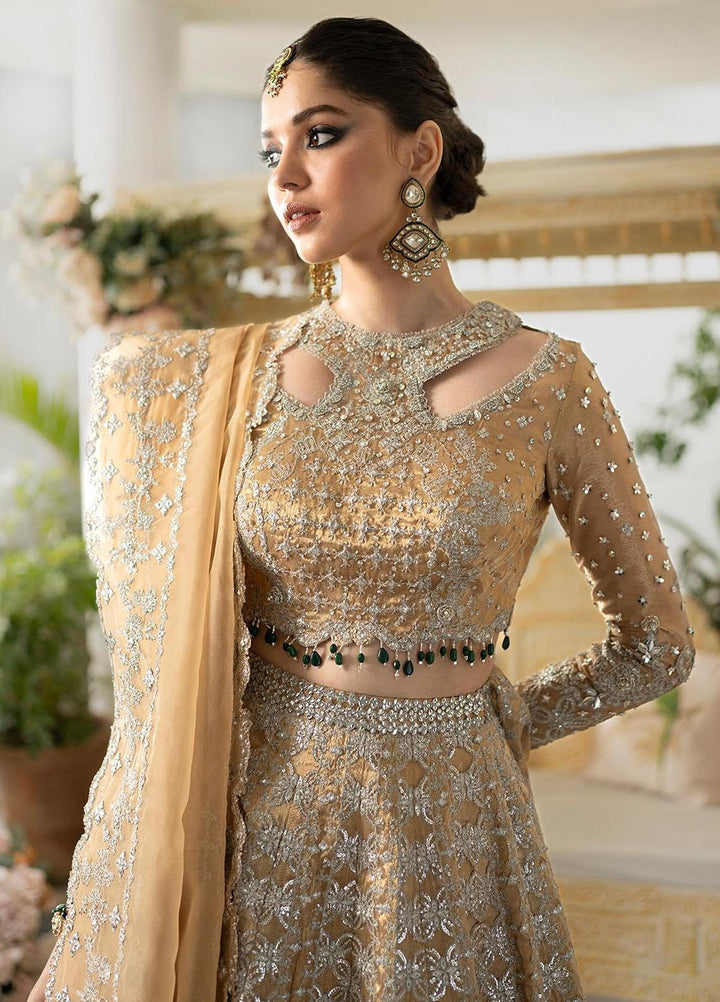 Dilnaaz By Qalamkar Embroidered Missouri Suits Unstitched 4 Piece QLM23DZ DN-1 Imaan - Wedding Collection